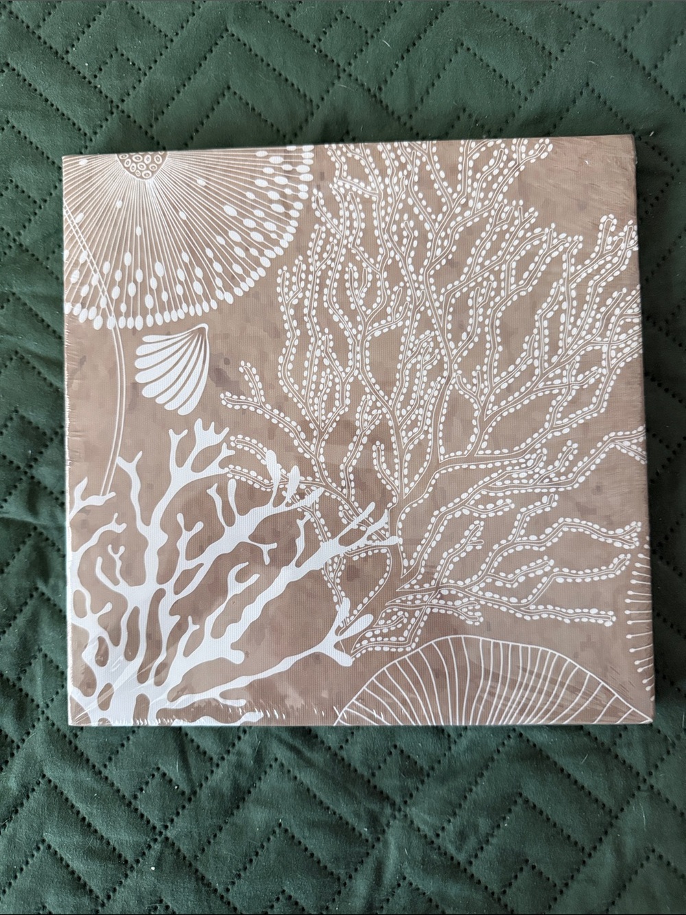 Coastal Coral Canvas Wall Art in Beige & White